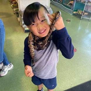 Ball python