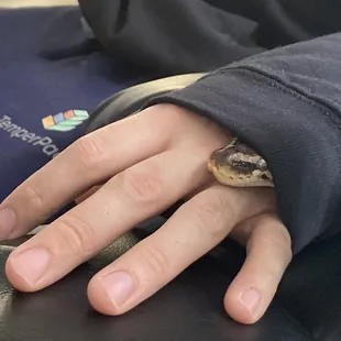 Worm our snake
