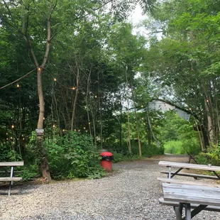 a picnic area in the woods