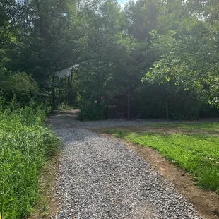 a gravel path in a wooded area