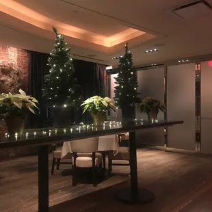 Scampi&apos;s Holiday cheer!!!