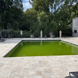 Ya would have thought this apartment complex was abandoned. Scandia do better ! What is this ????