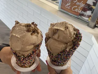 Zack's Frozen Yogurt