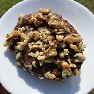 Walnut Chocolate Donut