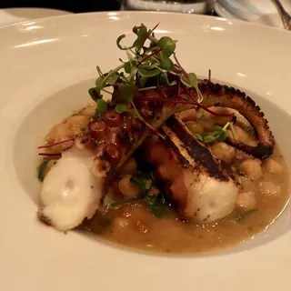 Olive Oil Braised Octopus