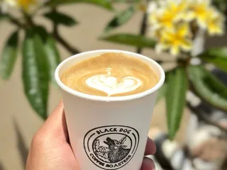 Black Dog Coffee Roasters