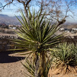 El Paso Scenic Drive outlook at Murchison Rogers Park