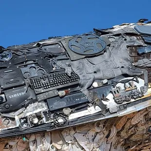 Close-Up of the wing of the Roadrunner  11-20-2022