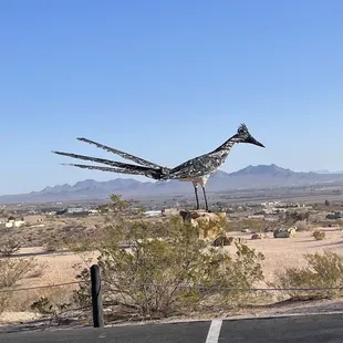 Roadrunner