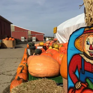 a scare with pumpkins