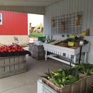 a variety of fruits and vegetables