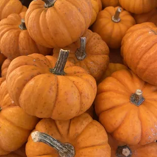 Little pumpkins!