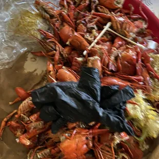 Smashed those mud bugs