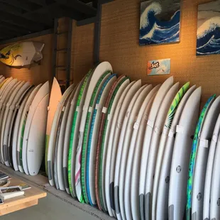 One wall of Schaper boards.