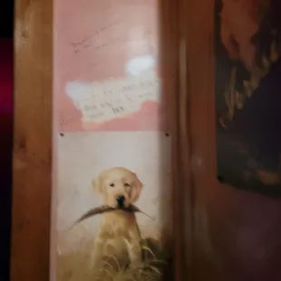 a dog with a pheasant in its mouth