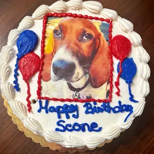 The perfect cake for the perfect Basset Hound. 10/16/2023