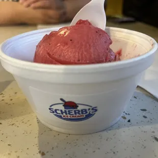 Single scoop of dragon fruit ice cream