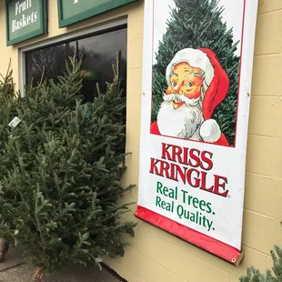 christmas trees in front of a store