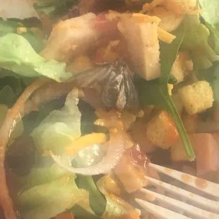 food, salads