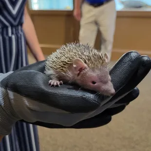 Live animals and interactive presentations.