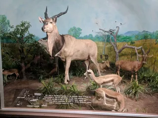 Museum of York County