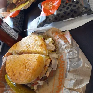 Turkey sandwich and chips. (Medium)