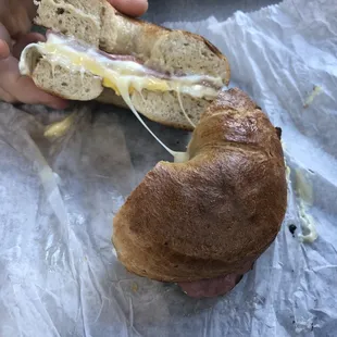 Wheat Bagel