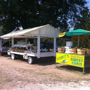 a fruit stand