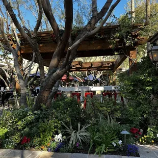 Absolutely gorgeous large patio with sounds of birds and water fountains