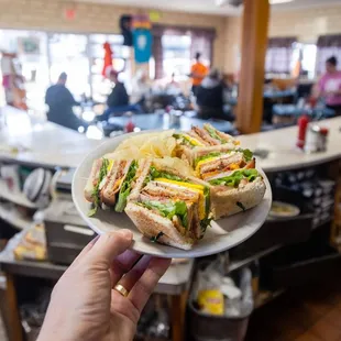 a person holding a plate of sandwiches