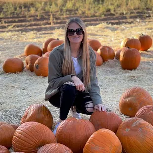 Pumpkin patch