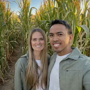 Corn maze