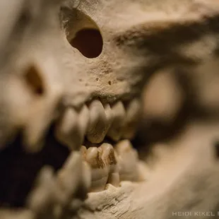 "Beauty In What Remains" series