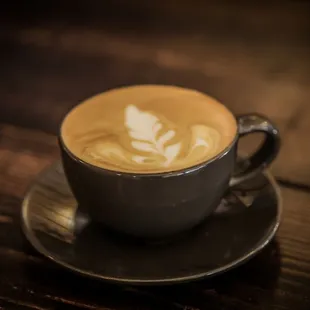 Cute Cat Cafe in Ridgewood NY