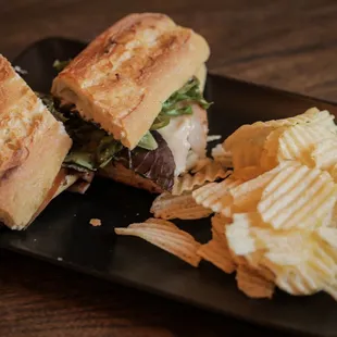 Cute Cat Cafe in Ridgewood NY