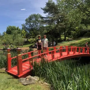 Bridge at the Asian landscape