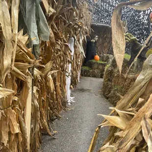 Halloween entry