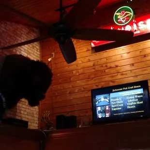 Schooner Pub &amp; Grill - Port Washington-  Cozy upstairs bar - leads to glass covered &amp; enclosed deck, heated - fun bar