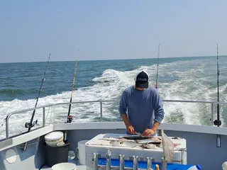 Captain Hogg's Charters