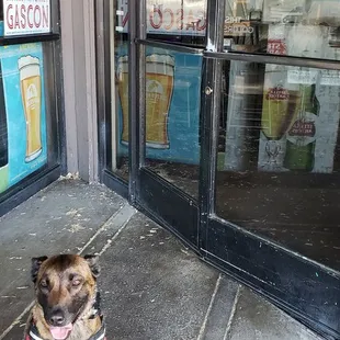 Not a pet, working dog pictured.