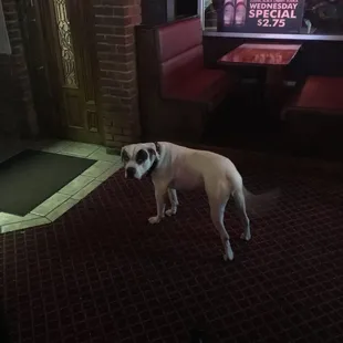 Yup, that kinda bar