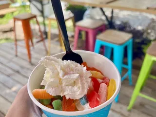 Surf Yogurt Bar