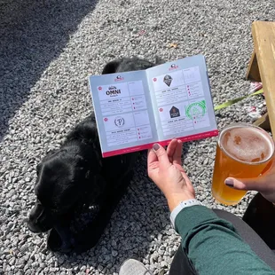 We love that Sidewalk Dog&apos;s Minneapolis-St Paul Dog-Friendly Brewery Pass brought us back out here. Great dog-friendly patio.