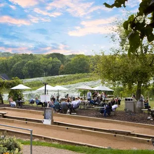 Bocce leagues during weeknights.  Available for play while drinking wine on weekends