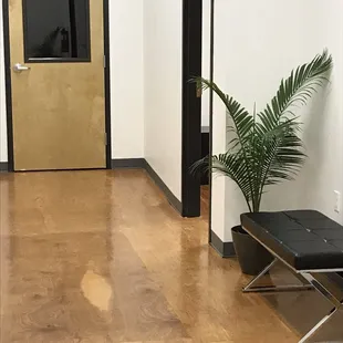 Beautiful waiting area of new studio on Terpsichore Street.