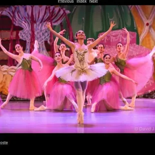 Home of The Nutcracker at the Orpheum Theater