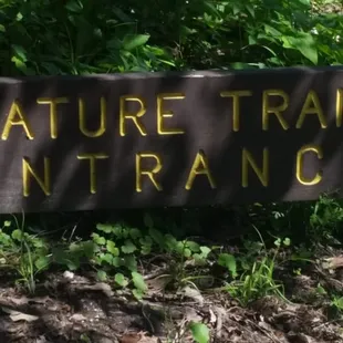 Great trails