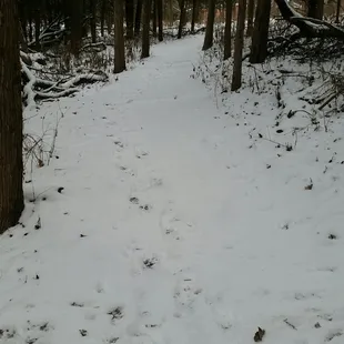 Great trails