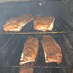 ribs