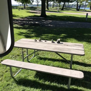 Rocks are on the picnic table